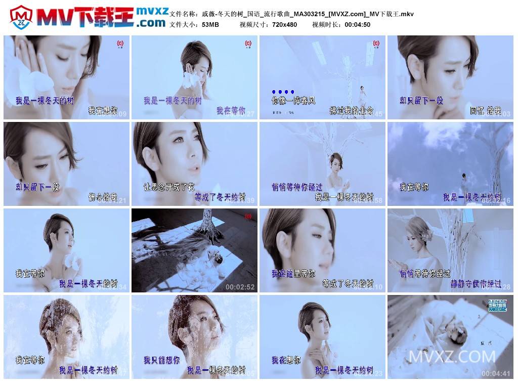 戚薇-冬天的树_国语_流行歌曲_MA303215